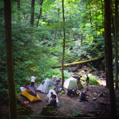 Red River Gorge, June 18, 2010